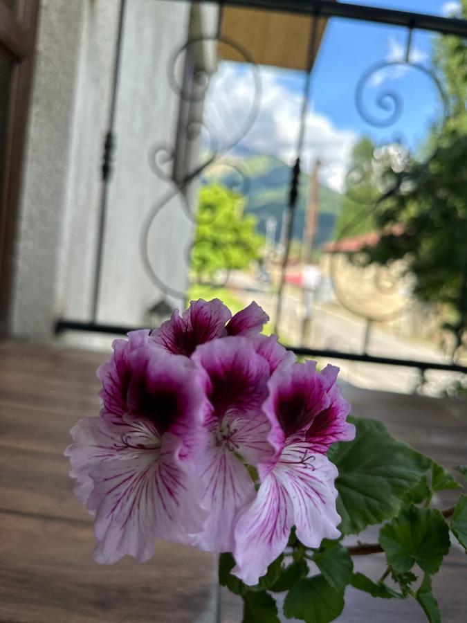 Bala'S House Hotel Mestia Luaran gambar